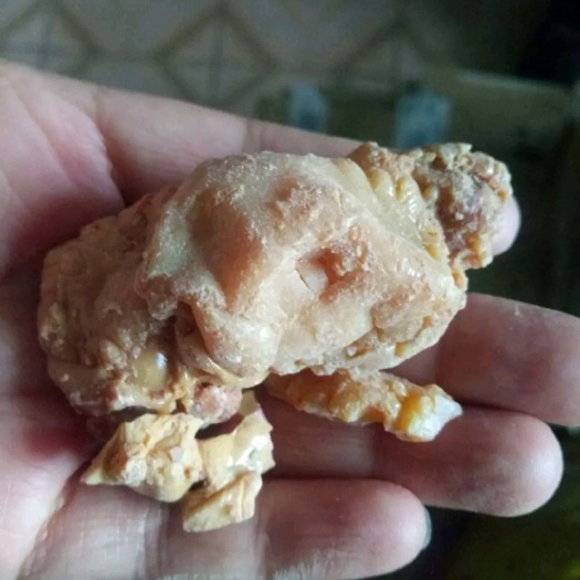 阿魏 臭阿魏膏 钓鱼诱饵