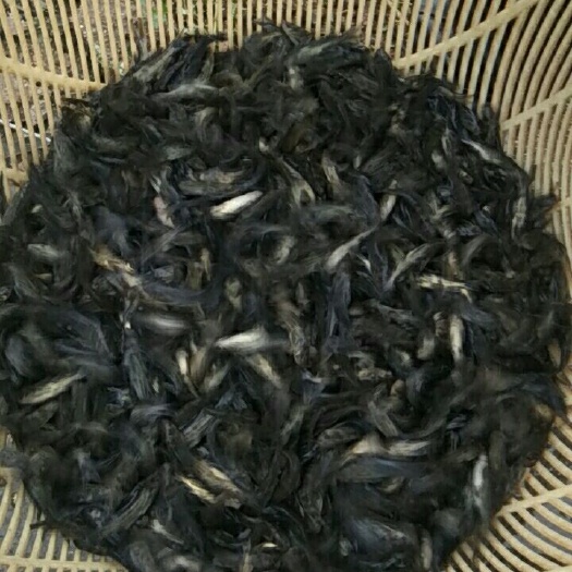 重庆市鲶鱼苗 大口鲢鱼