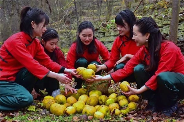 安康 香木瓜药用木瓜光皮木瓜