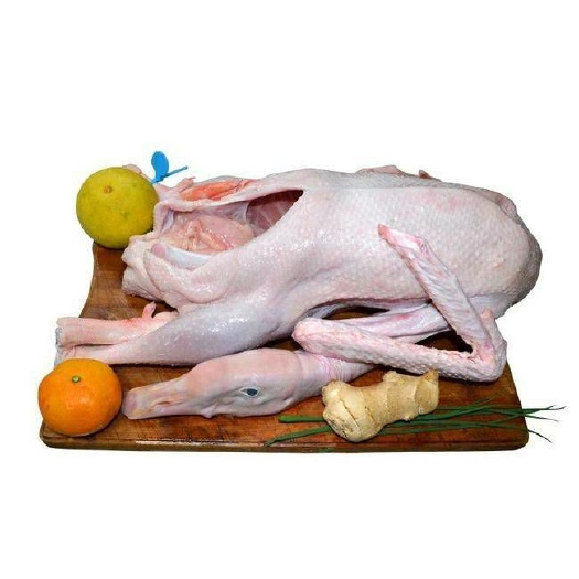 佛山肉鹅 好品质