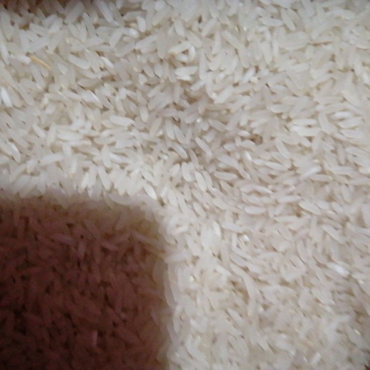 天长市虾稻米 稻虾米