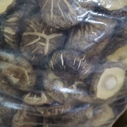 交口县 香菇 花菇 干香菇 精品包邮产地直供新鲜