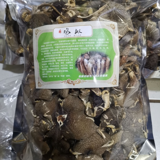 思茅 野生鸡枞（普洱本地野生火把鸡枞菌）