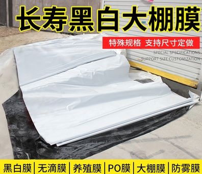天津地膜   大棚膜 黑白膜 利得膜  菌菇专用黑白膜
保质保量