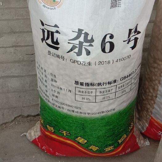 郑州花生种子  远杂6号，国审，抗病高产，出油率高，皮薄。