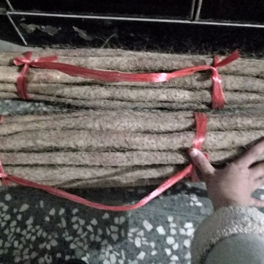 温县 正宗铁棍山药