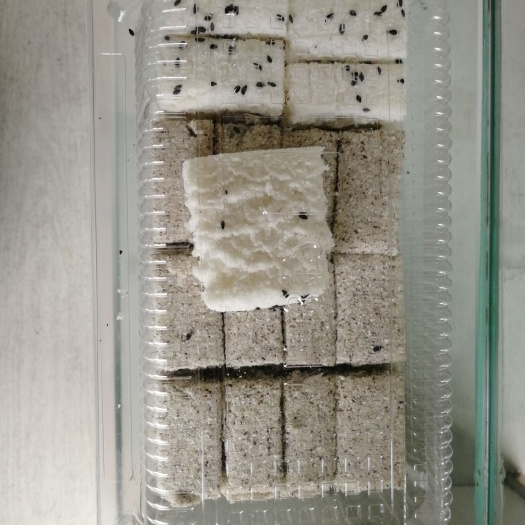 安龙县现做糯米糕10斤发货包邮