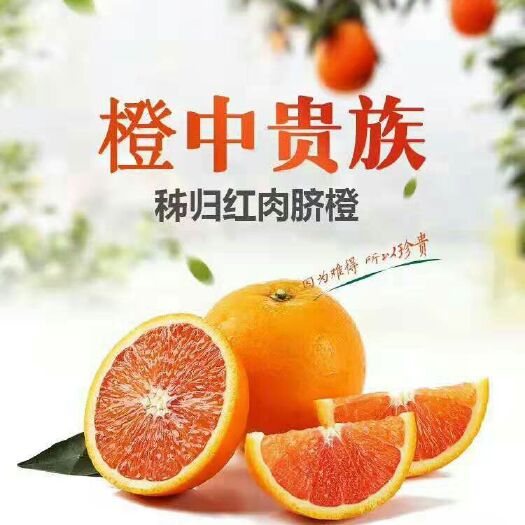 秭归县塔罗科血橙 血橙  【坏果包赔】橙中贵族中华红橙（包邮）箱装