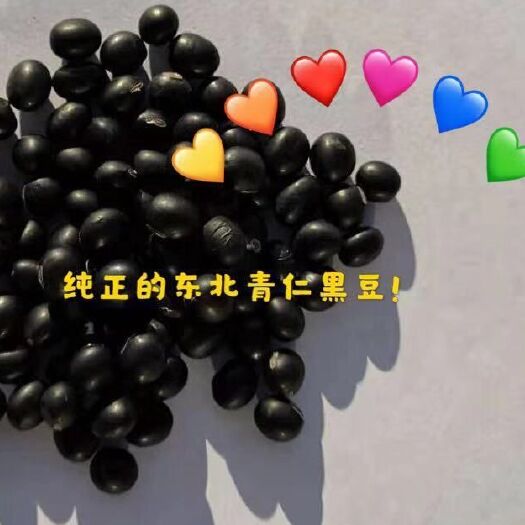 四平 正宗东北青仁黑豆