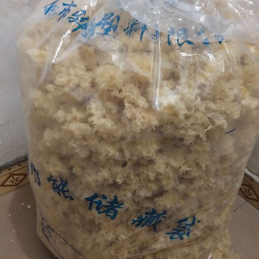 通江县 正宗通江椴木银耳