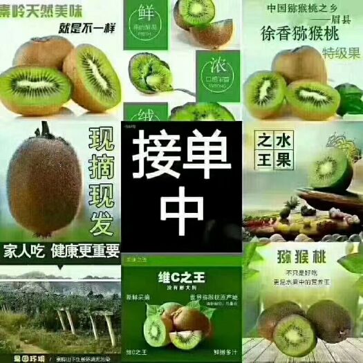 眉县海沃德猕猴桃 个头大，色泽好，诚信做事