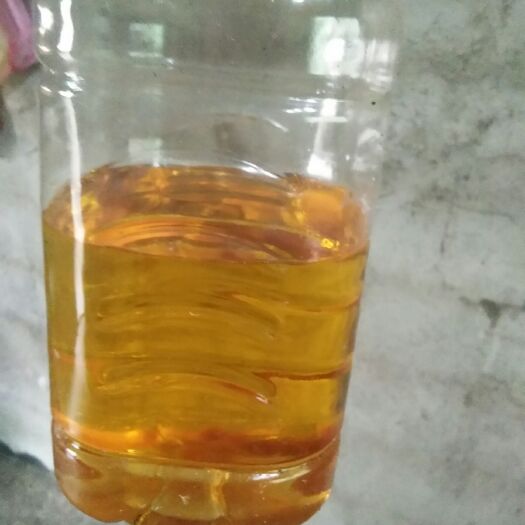 阳朔县野生山茶油 现榨