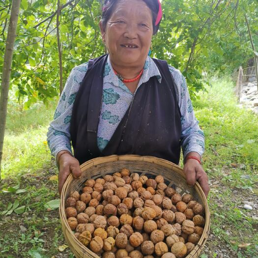 得荣县 高原百年核桃