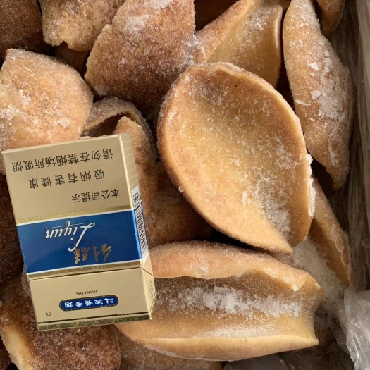 烟台鲍鱼螺 黄金鲍螺，正关带票，一手供应链，各规格齐全