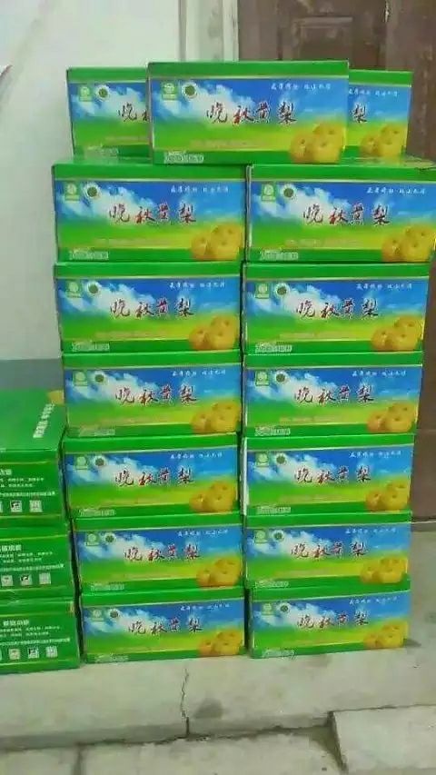 获嘉县 晚秋黄梨