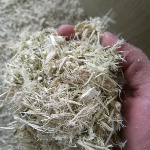 陆良县桑树枝 木屑  出售  种植食用菌，球盖菇，香菇，机制碳，颗粒原料！