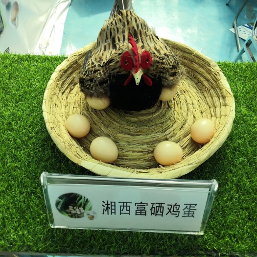 永顺县 湘西富硒鸡蛋