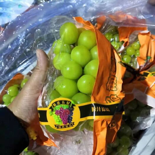 龙口市 精品阳光玫瑰葡萄