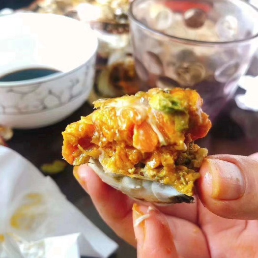 庐山市 潘阳澄精品大闸蟹