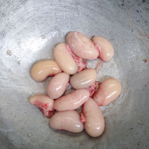鸡腰子 新鲜鸡腰