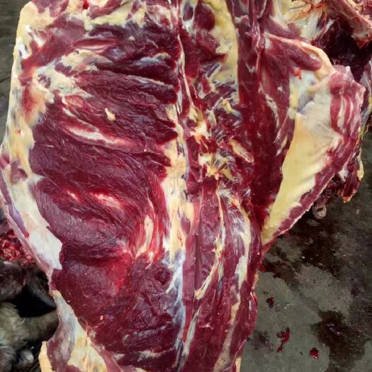 同仁市牛肉类 生肉
