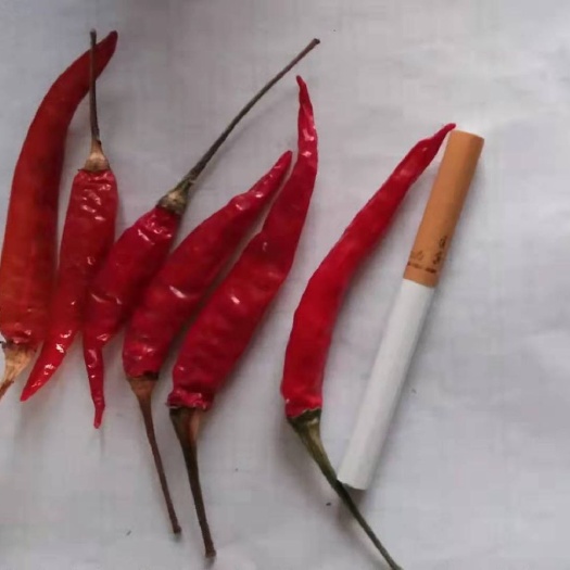 清丰县线椒剁椒 美人辣椒