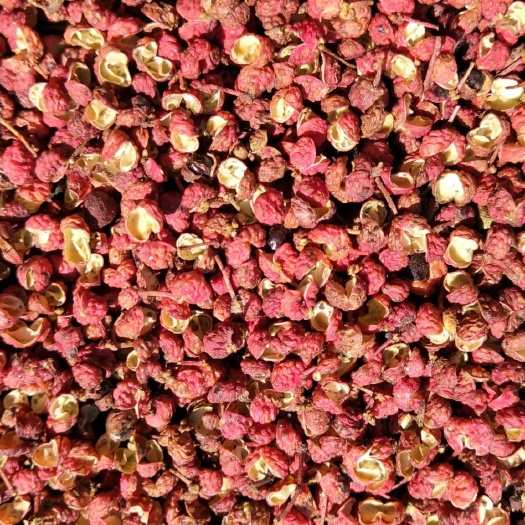 芮城县大红袍花椒  山西省风陵渡醇源大红袍净颗粒上品花椒50斤
