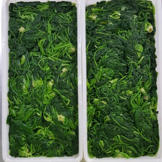 南阳 荠荠菜