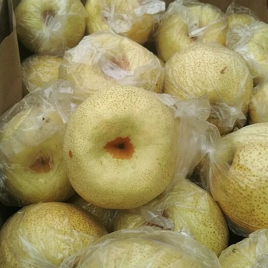 丰县砀山酥梨 90mm以上 250-300g 