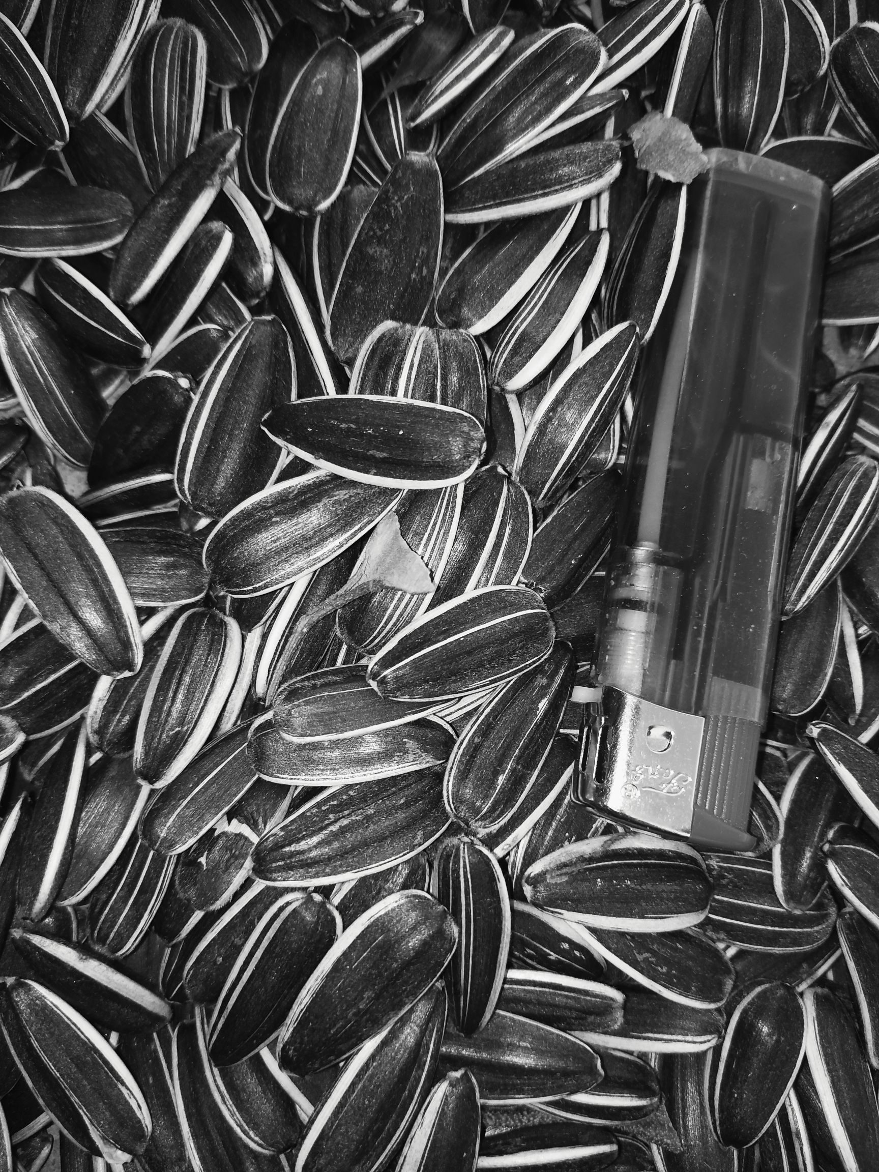 葵瓜子 现货绿色食品，营养丰富，颗粒饱满，货真价实，诚信第一