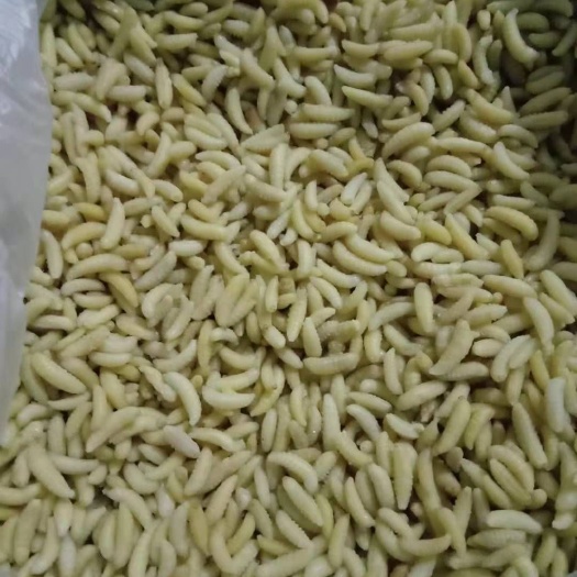 兴义市马蜂蛹 希要熟冻蜂的老板赶紧联系，本人自己加工的蜂质量好，速卖了回家