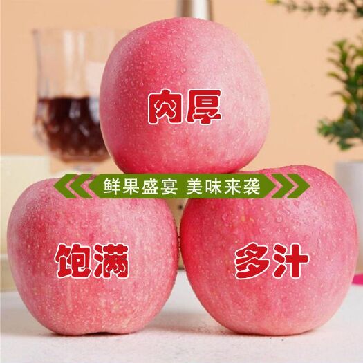吉县红富士苹果