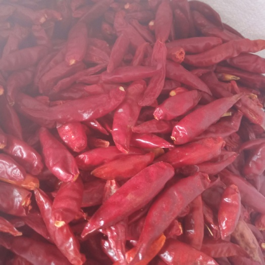 太和县精品干辣椒8.9包邮到家量大优惠辣椒面辣椒段红辣椒免费打粉