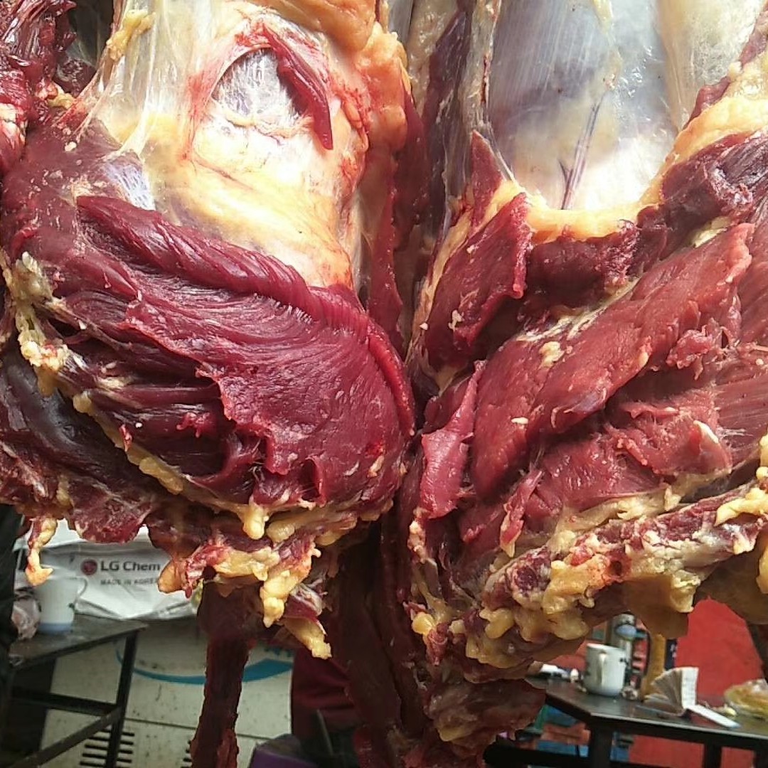 牛肉类 高原正宗牦牛肉,无注水,放养牦牛,每天现杀发货,顺丰保鲜到家