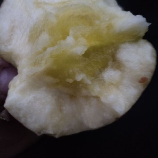 合水县丑苹果 冰糖心