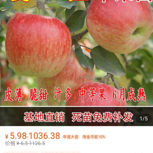 平邑县 丰产型，盆栽型嘎啦苹果苗