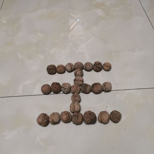 兴县 自家核桃