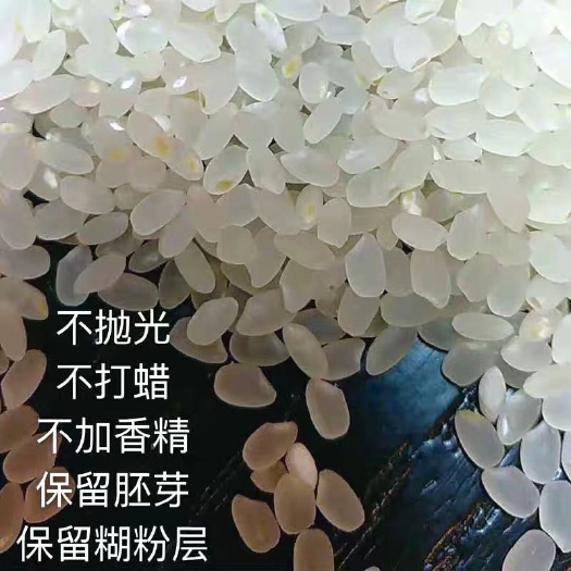 肇源县东北大米  来自北纬45度的问候，寒地黑土，一年一季水稻