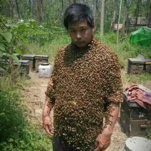 浮梁县 好蜂蜜出自蜂农的蜂场，而不是什么工厂，公司。本蜂场只卖好蜂蜜