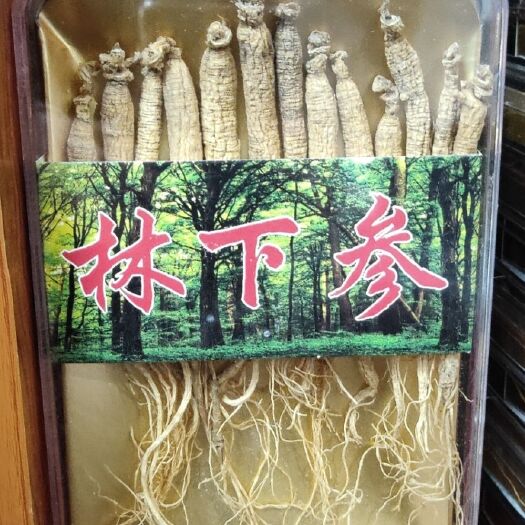 抚松县移山参 大量供应山参