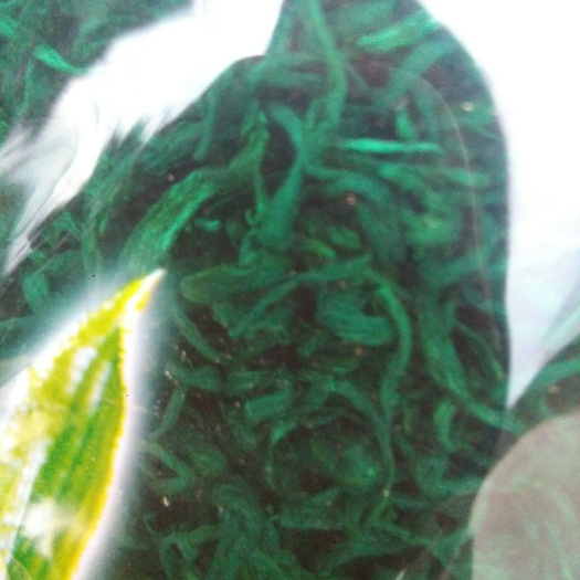 当阳市炒青茶 统货 袋装