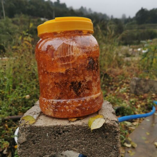 巧家县中华蜜蜂 蜂蜜好不好你们说了算。