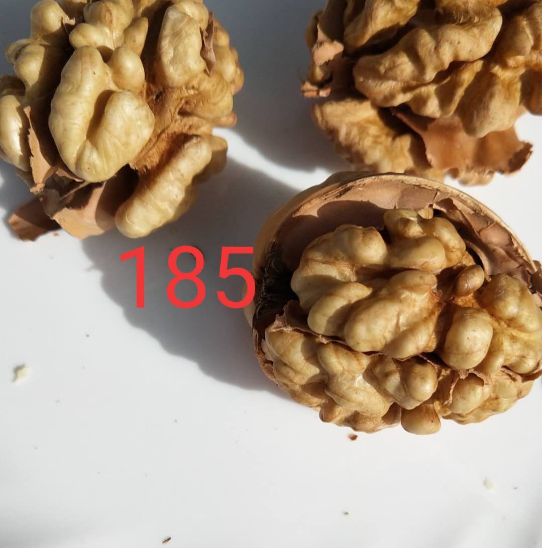  185核桃，价格非常合适，今年的新货，洗完晒干过的，希望有个