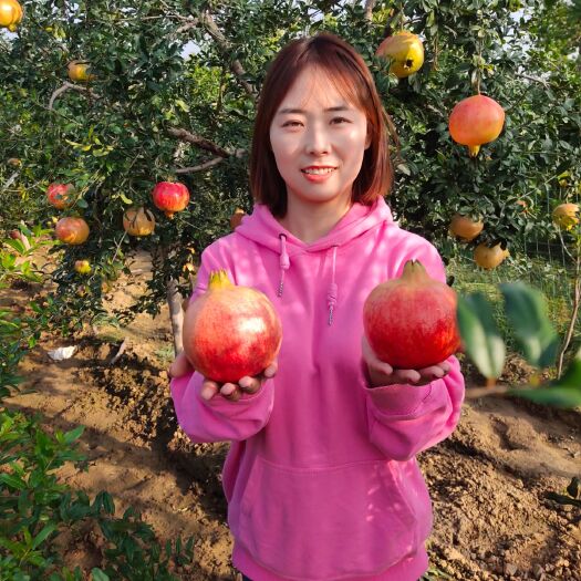 荥阳市河阴软籽石榴 突尼斯软籽石榴产地代办 商超电商团购