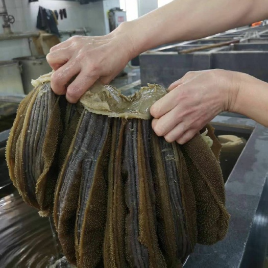 重庆市毛肚 精品水牛黄牛大叶片，火锅连锁店，酒店专用，工厂直发，大量有货