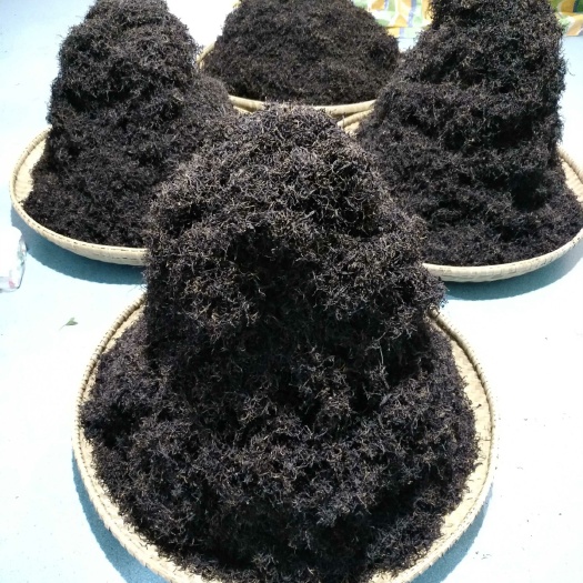 白河县 正宗野生红茶