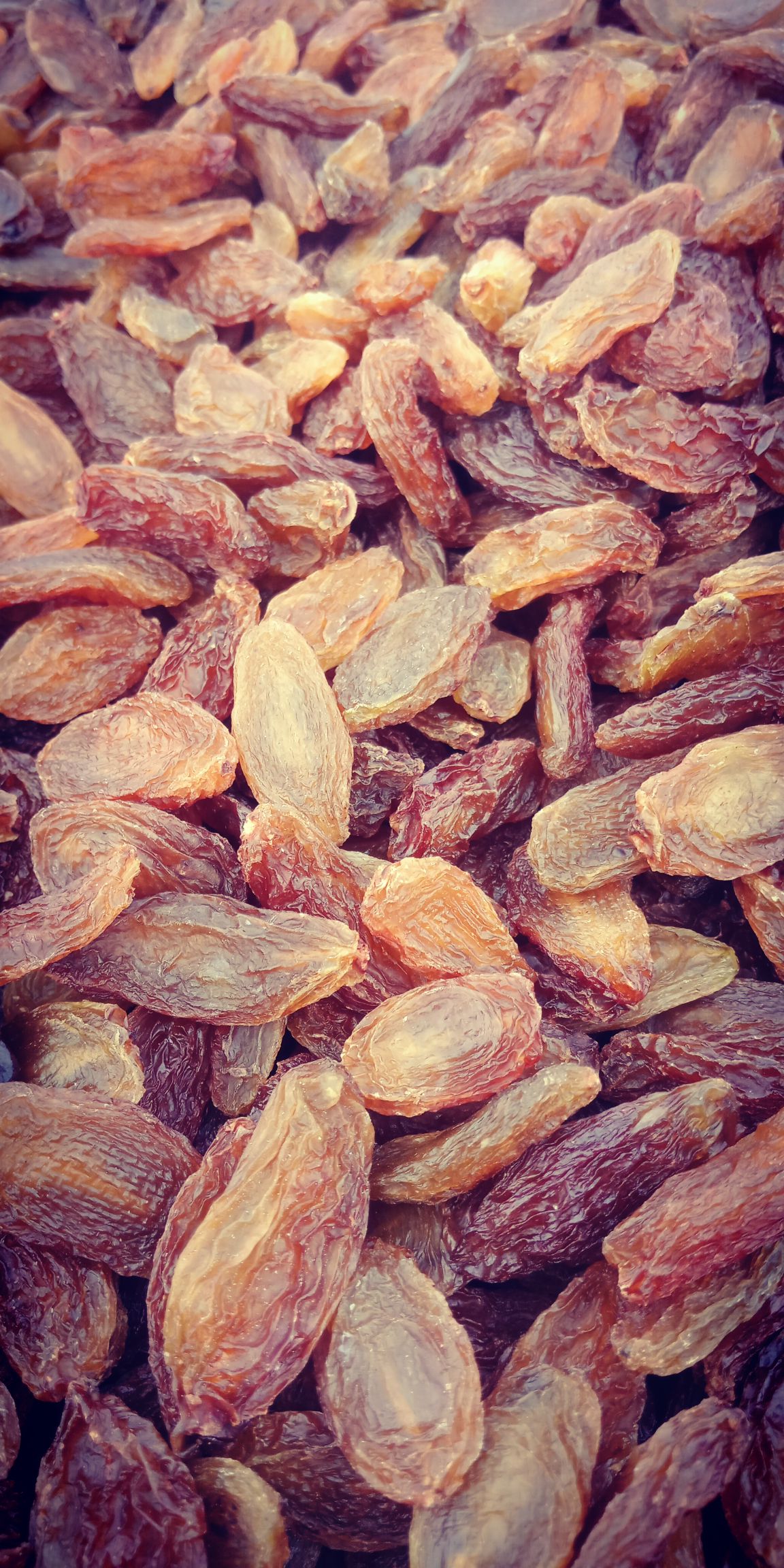  新疆特产  红香妃无核葡萄干  大颗粒 批发