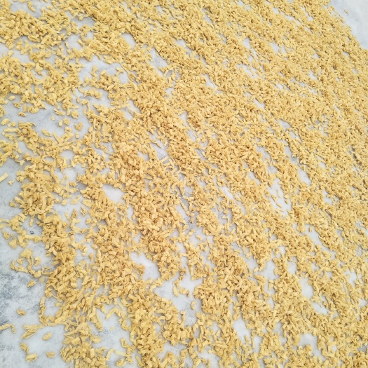 滕州市黄大豆 纯豆子豆制品健康营养美味
