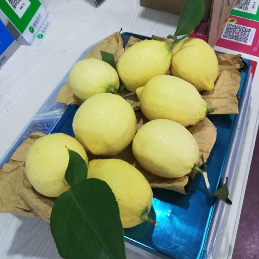 安岳县 正宗的安岳尤力克柠檬，酸爽可口，香味逸人