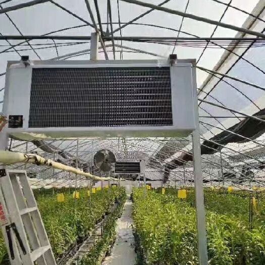 佛山智能大棚系统 实力厂家生产销售大棚种植恒温设备 温室冷暖恒温设备